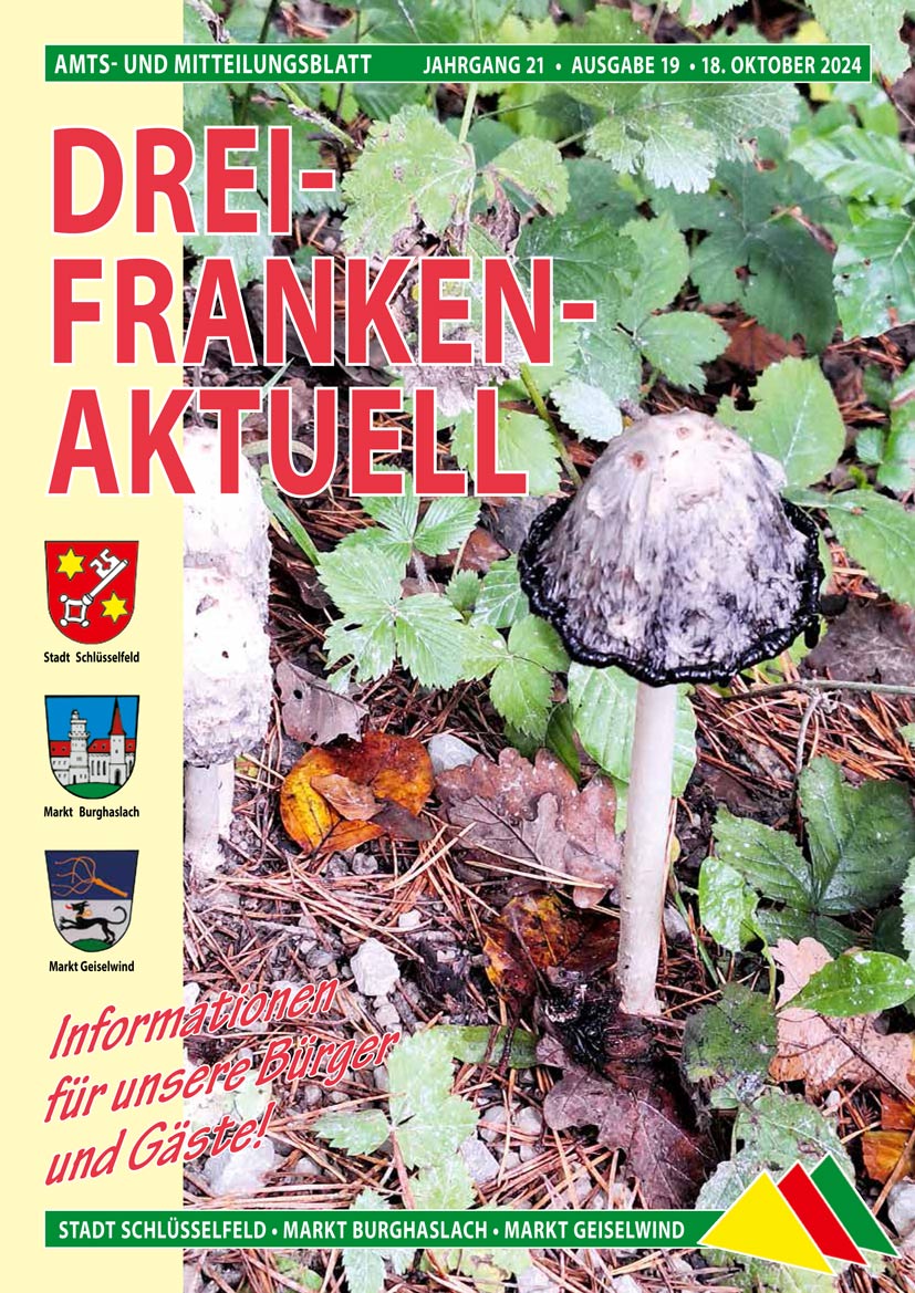 Drei-Franken-Aktuell 19 / 2024